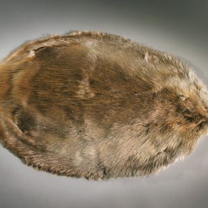 Beaver Fur Hide