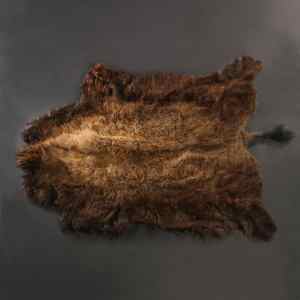 Buffalo/Bison Hides & Robes | Guaranteed by Merlin's Hide