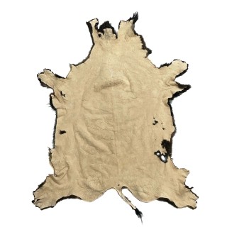 buffalo-hide-craft-grade 6 -edit